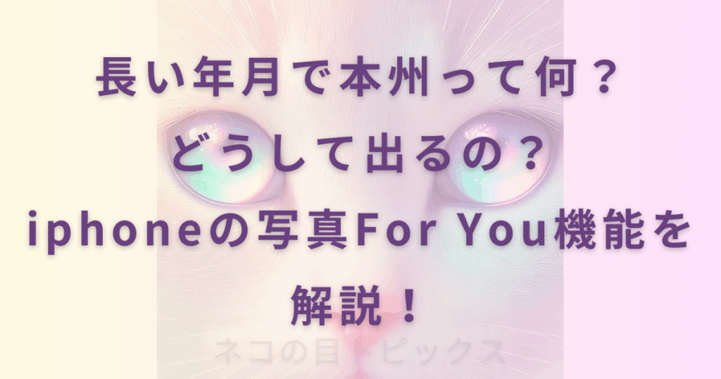長い年月で本州って何？どうして出るの？iphoneの写真For You機能を解説！