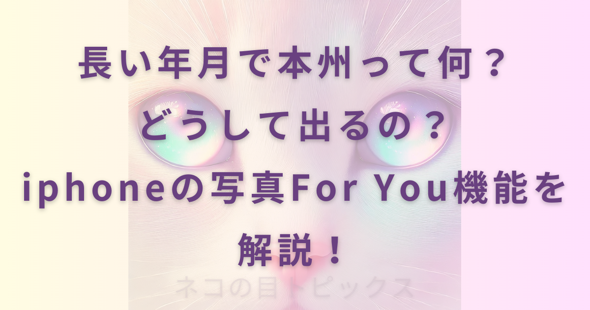長い年月で本州って何？どうして出るの？iphoneの写真For You機能を解説！