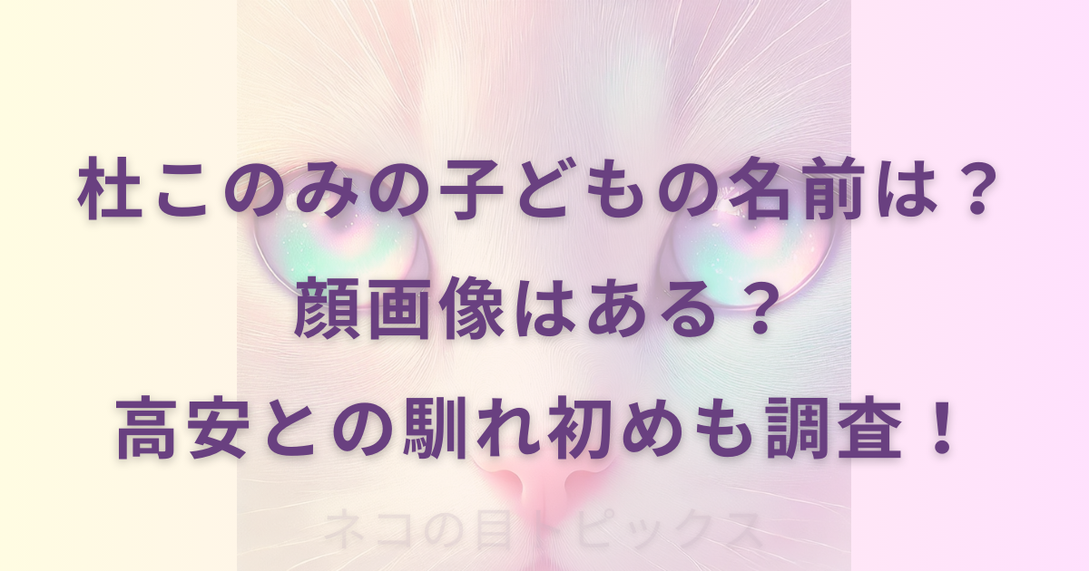 杜このみの子どもの名前は？ 顔画像はある？ 高安との馴れ初めも調査！