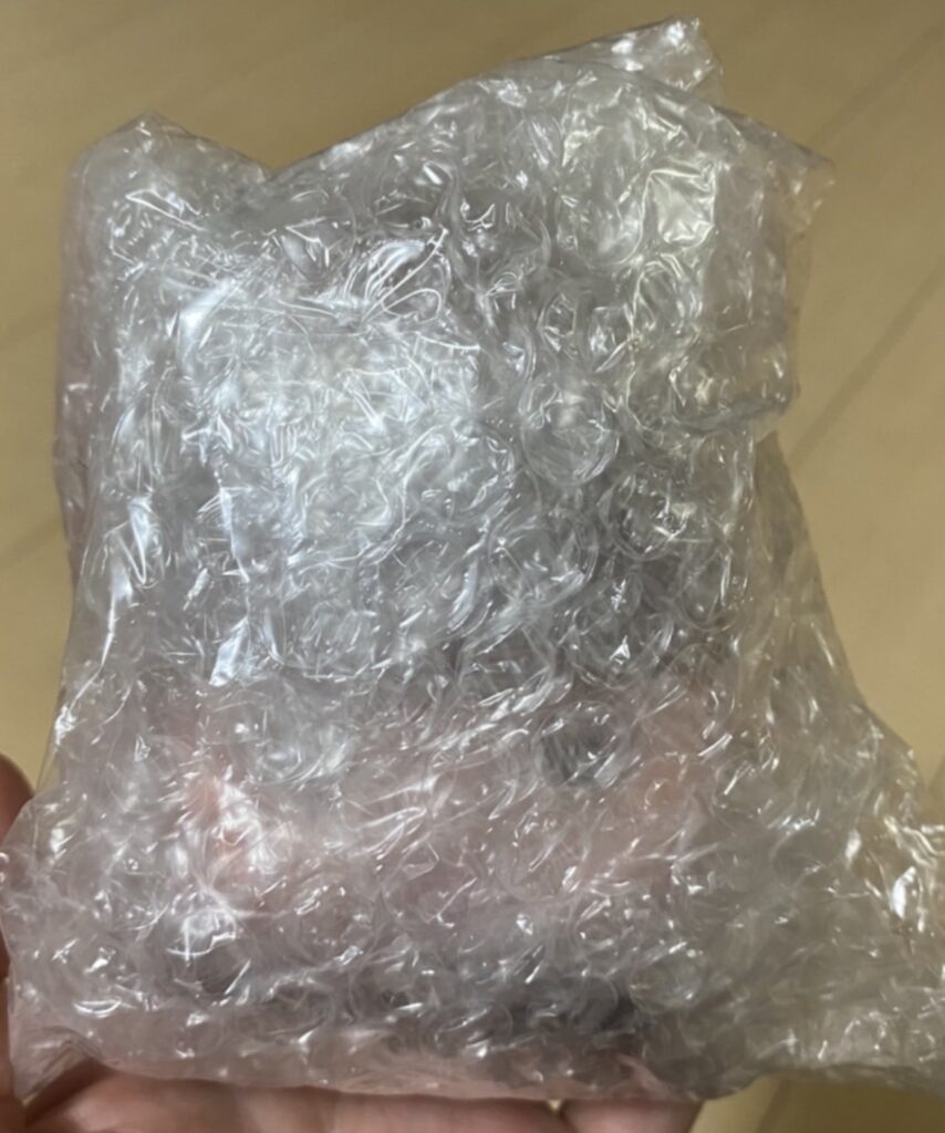 ネネちゃんの頭部の写真