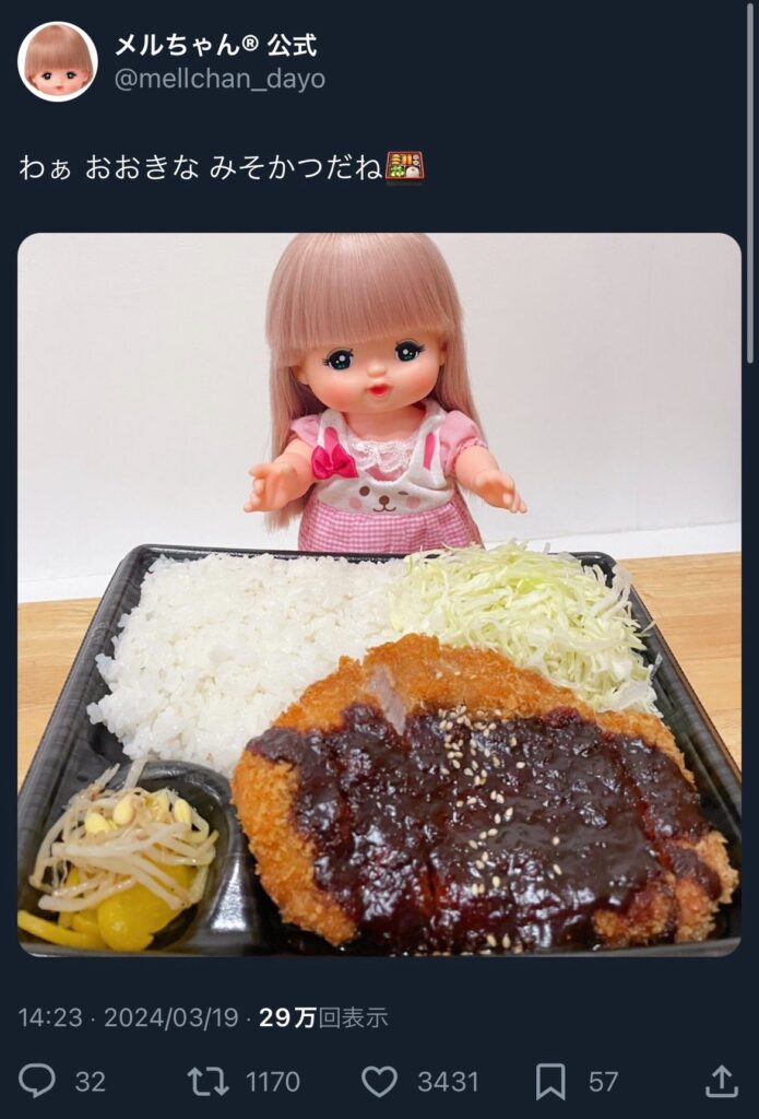 メルちゃんの写真