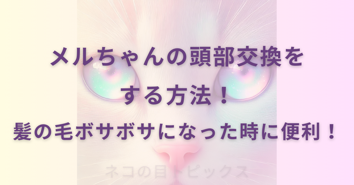 メルちゃんの頭部交換を する方法！ 髪の毛ボサボサになった時に便利！と記載