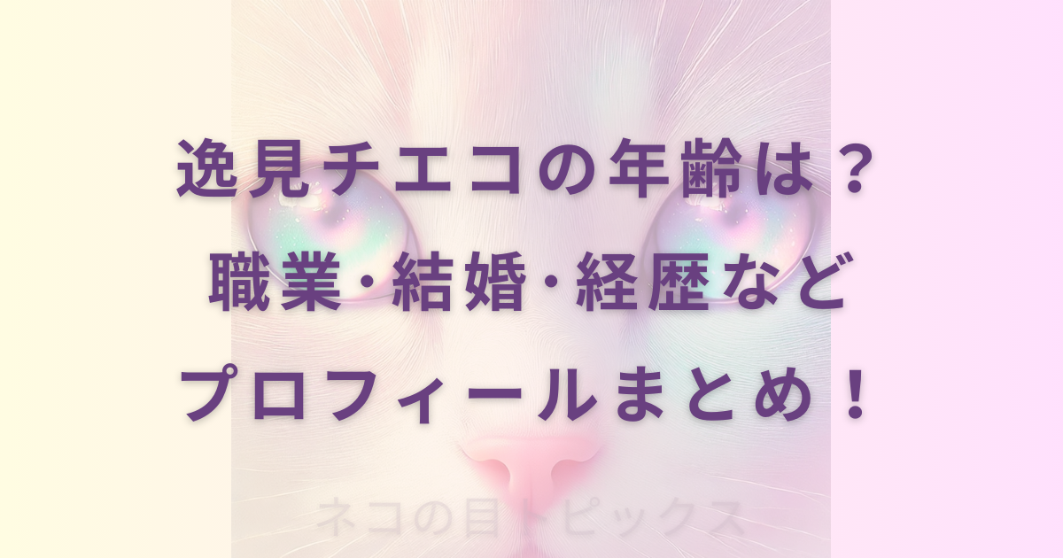 逸見チエコの年齢は？職業･結婚･経歴などプロフィールまとめ！