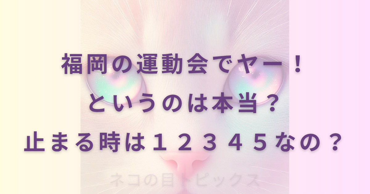 福岡の運動会でヤー！というのは本当？止まる時は１２３４５なの？