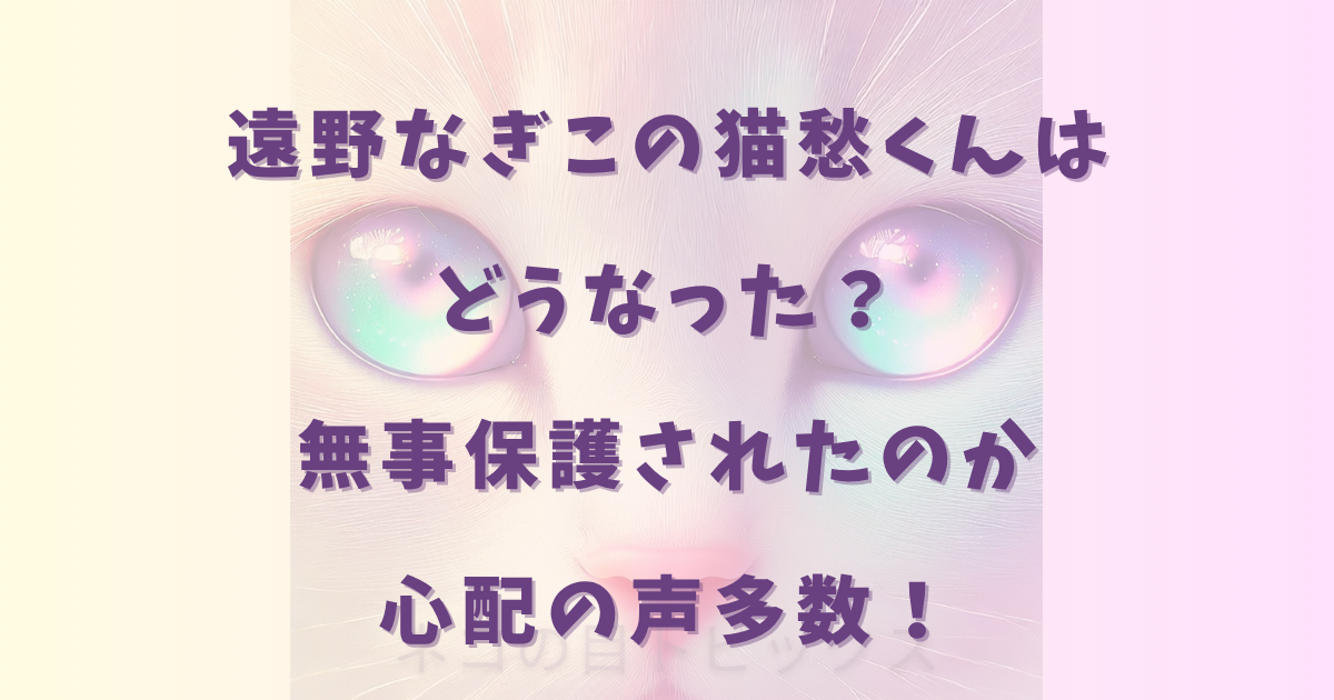遠野なぎこの猫愁くんはどうなった？無事保護されたのか心配の声多数！