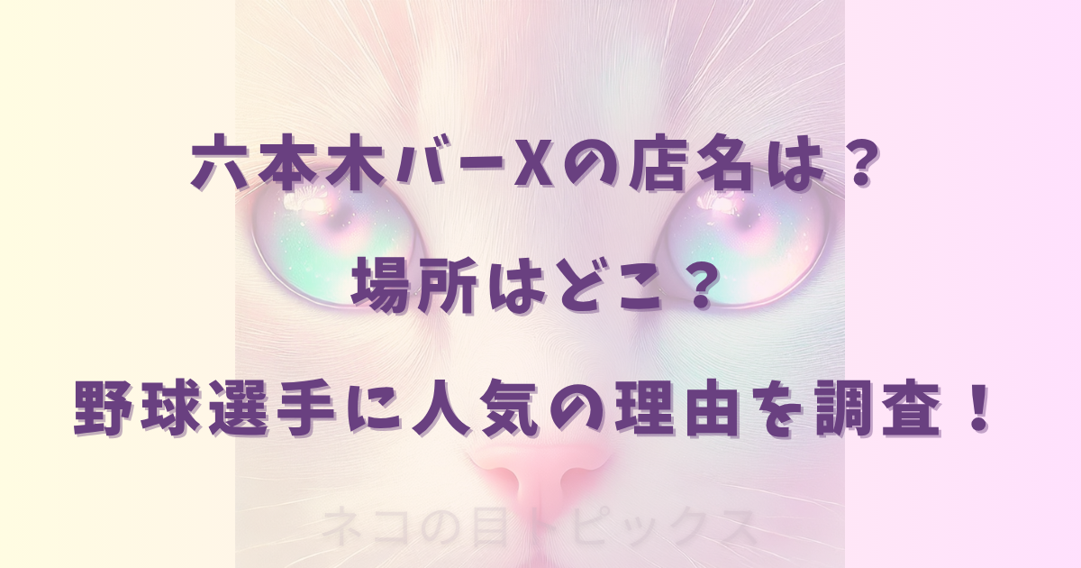 六本木バーXの店名は？場所はどこ？野球選手に人気の理由を調査！
