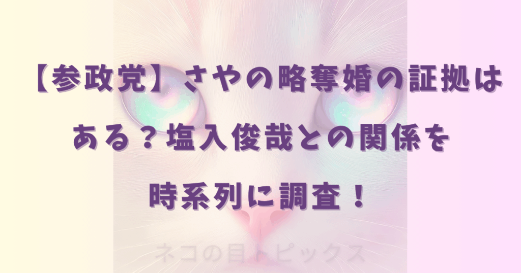 【参政党】さやの略奪婚の証拠はある？塩入俊哉との関係を時系列に調査！