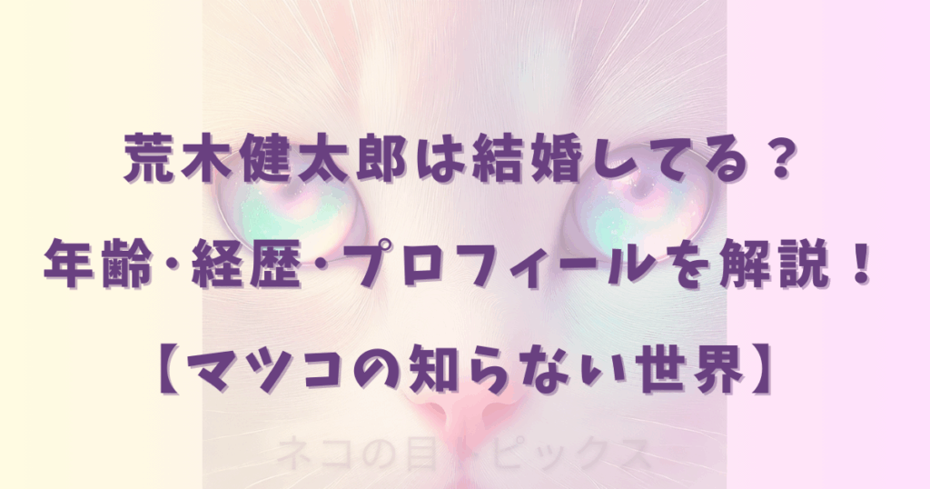 荒木健太郎は結婚してる？年齢･経歴･プロフィールを解説！【マツコの知らない世界】