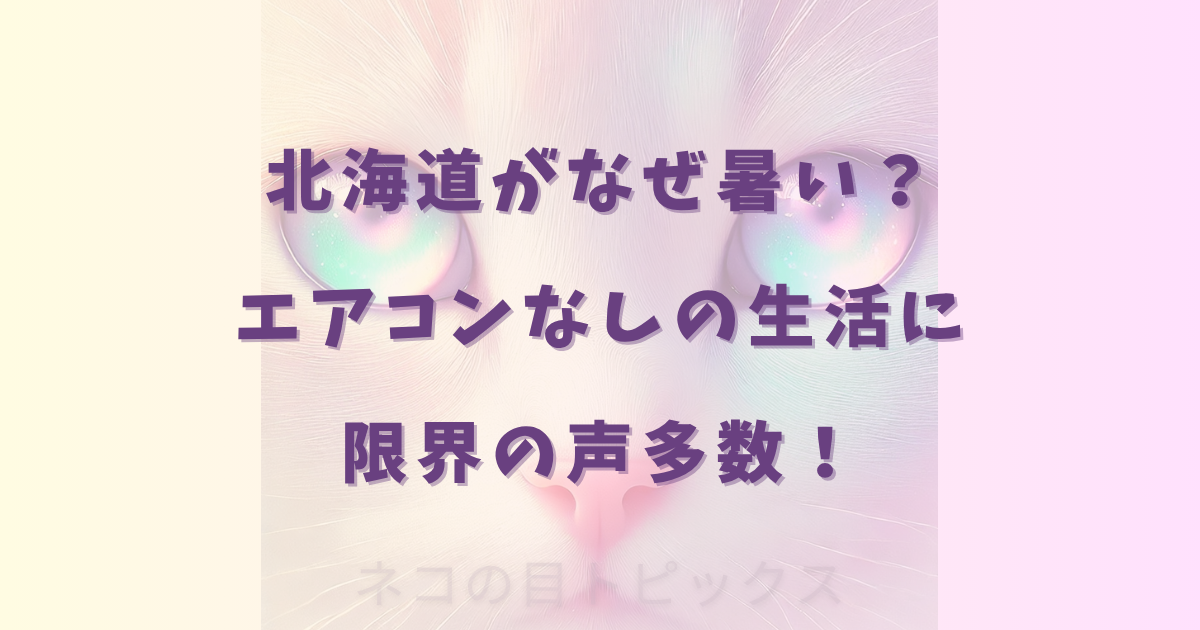 北海道がなぜ暑い？エアコンなしの生活に限界の声多数！