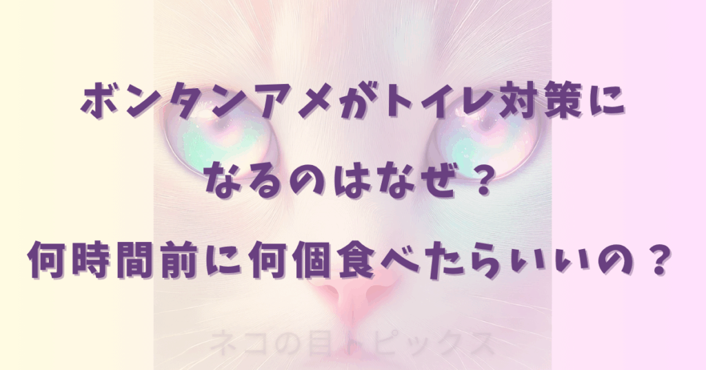 ボンタンアメがトイレ対策になるのはなぜ？何時間前に何個食べたらいいの？