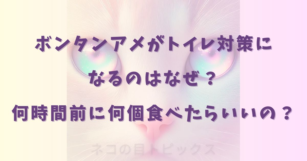 ボンタンアメがトイレ対策になるのはなぜ？何時間前に何個食べたらいいの？