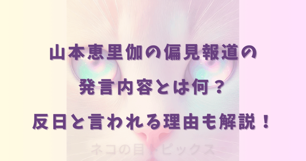 山本恵里伽の偏見報道の発言内容とは何？反日と言われる理由も解説！