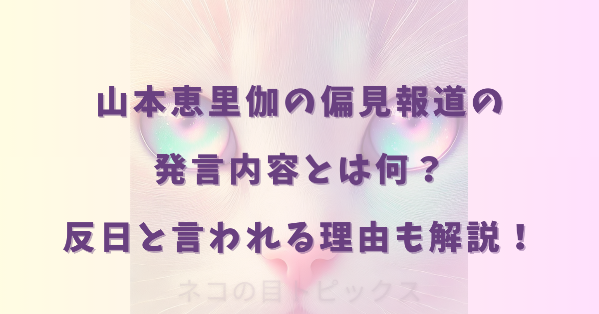 山本恵里伽の偏見報道の発言内容とは何？反日と言われる理由も解説！