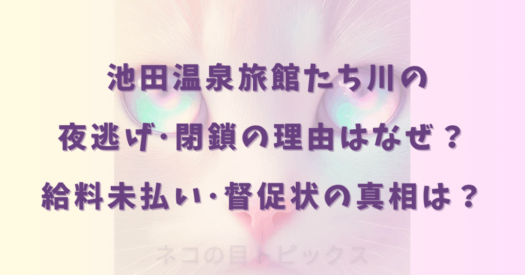 池田温泉旅館たち川の夜逃げ･閉鎖の理由はなぜ？給料未払い･督促状の真相は？