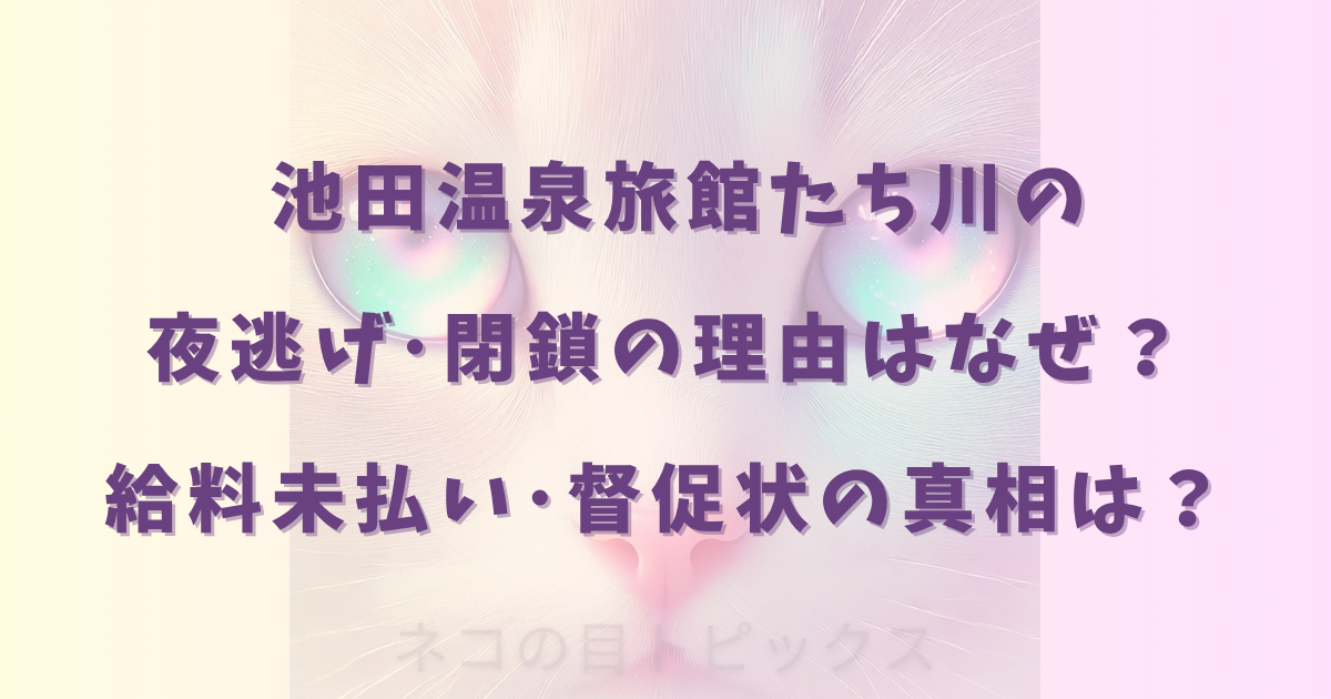 池田温泉旅館たち川の夜逃げ･閉鎖の理由はなぜ？給料未払い･督促状の真相は？