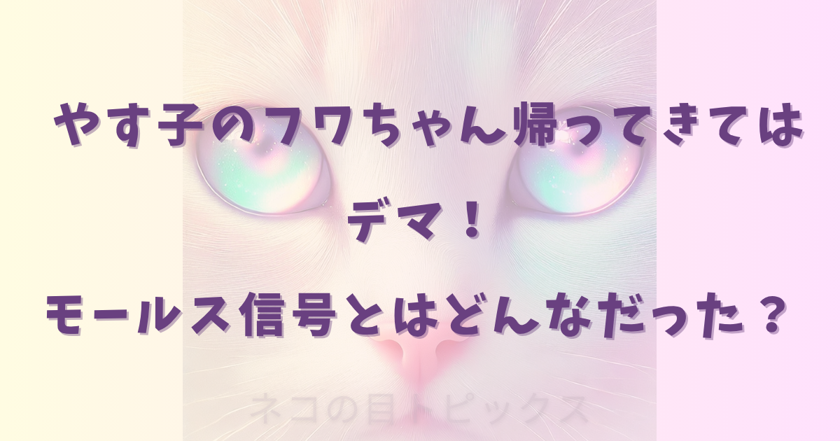 やす子のフワちゃん帰ってきてはデマ！モールス信号とはどんなだった？