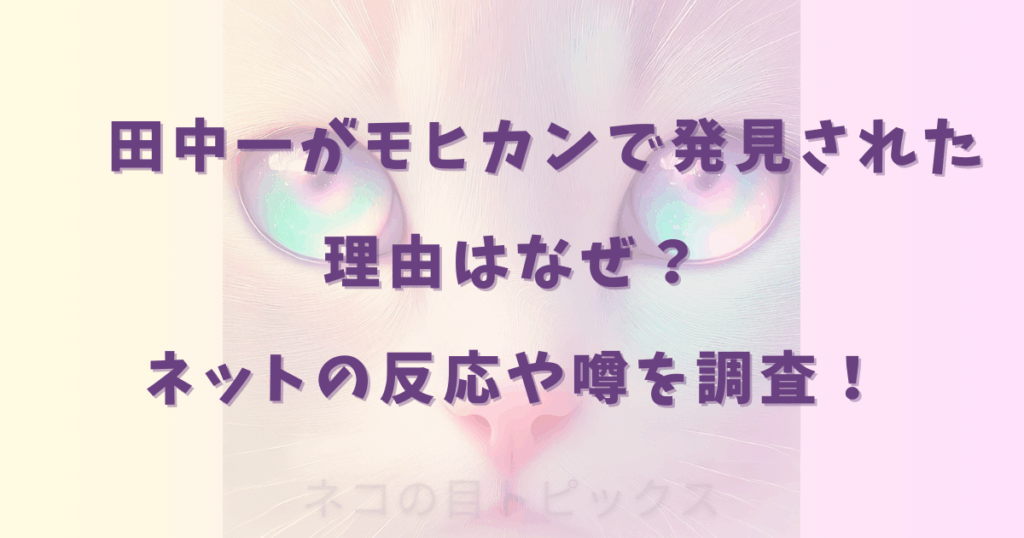田中一がモヒカンで発見された理由はなぜ？ネットの反応や噂を調査！