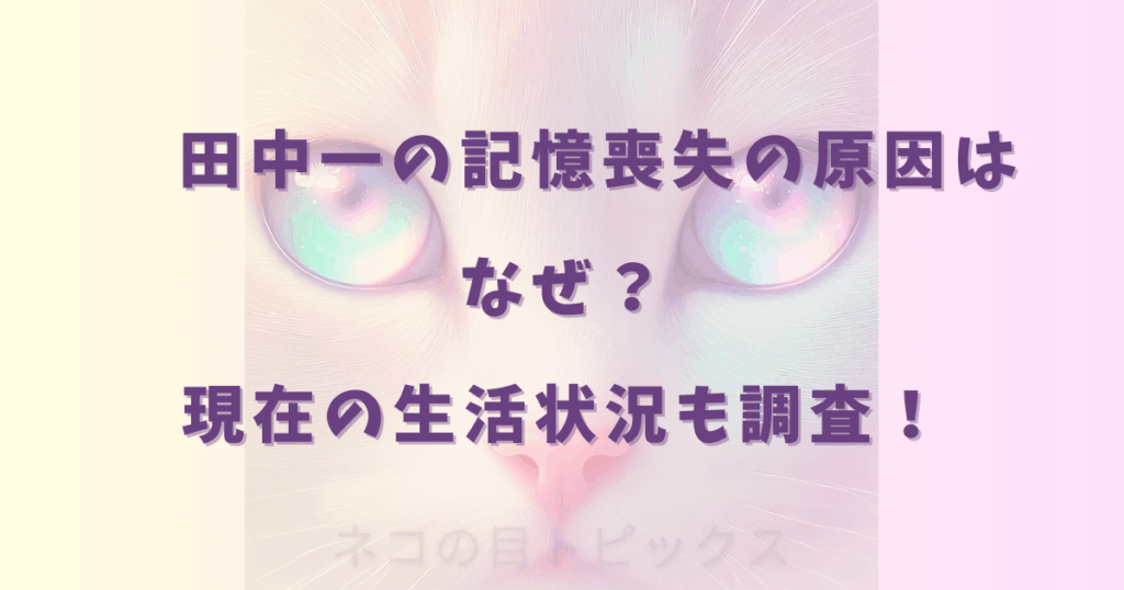 田中一の記憶喪失の原因はなぜ？現在の生活状況も調査！