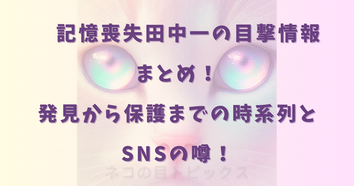 記憶喪失田中一の目撃情報まとめ！発見から保護までの時系列とSNSの噂！