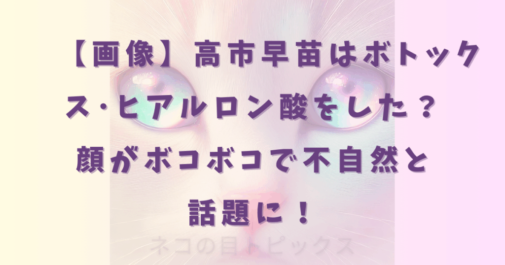 【画像】高市早苗はボトックス･ヒアルロン酸をした？顔がボコボコで不自然と話題に！