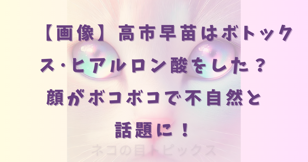 【画像】高市早苗はボトックス･ヒアルロン酸をした？顔がボコボコで不自然と話題に！
