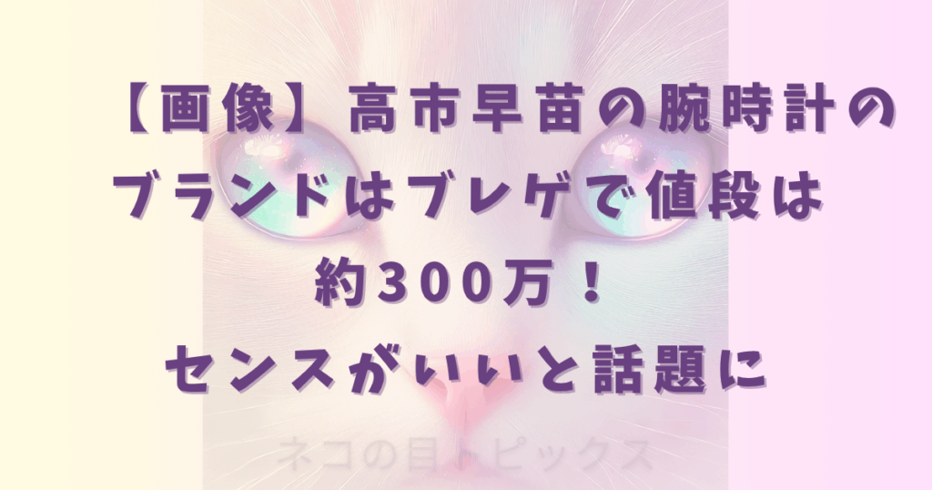 【画像】高市早苗の腕時計のブランドはブレゲで値段は約300万！センスがいいと話題に