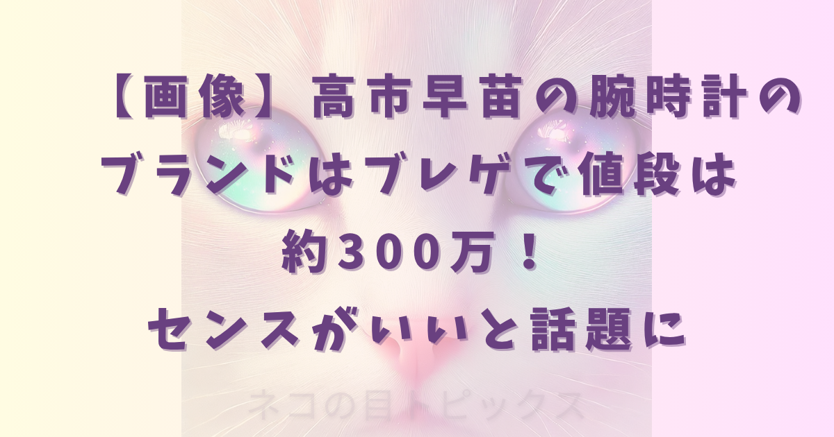 【画像】高市早苗の腕時計のブランドはブレゲで値段は約300万！センスがいいと話題に