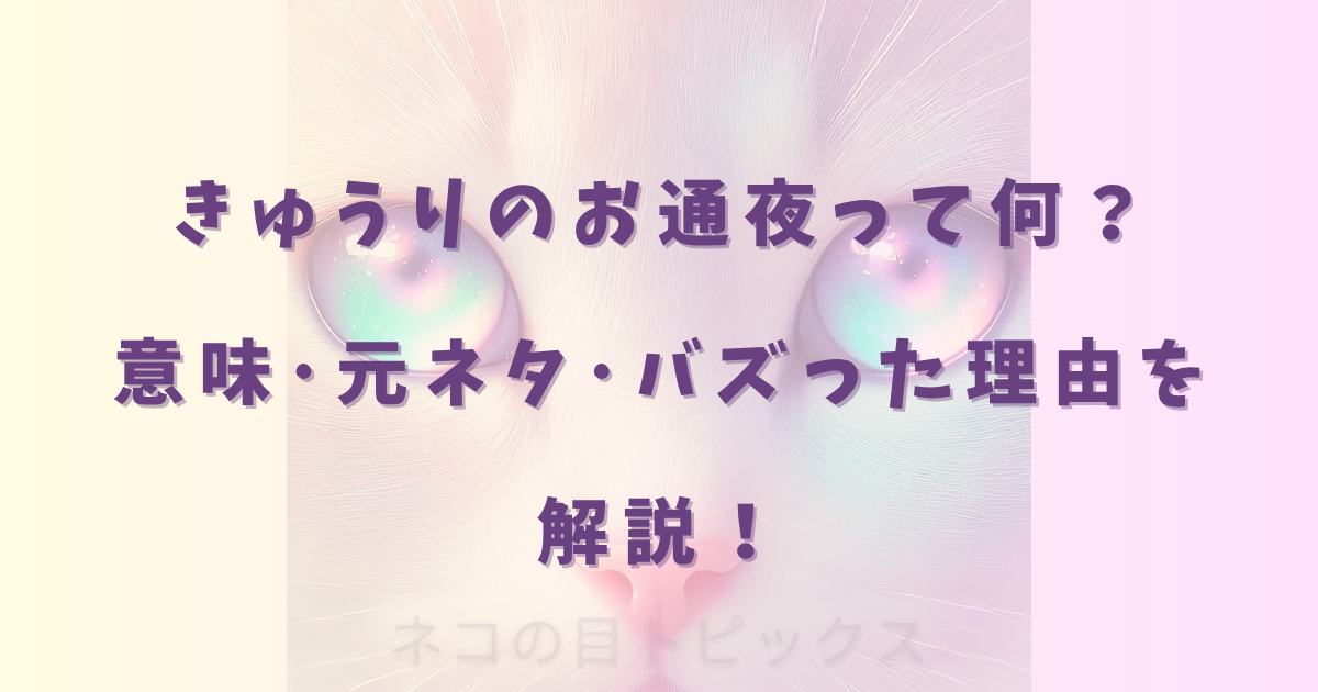 きゅうりのお通夜って何？意味･元ネタ･バズった理由を解説！