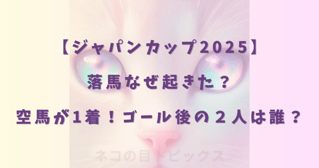 【ジャパンカップ2025】落馬なぜ起きた?空馬が1着!ゴール後の2人は誰?