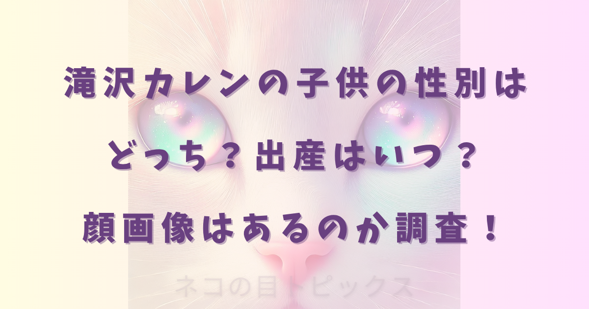 滝沢カレンの子供の性別はどっち？出産はいつ？顔画像はあるのか調査！