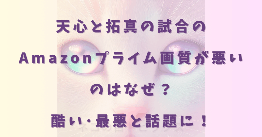 天心と拓真の試合のAmazonプライム画質が悪いのはなぜ？酷い･最悪と話題に！11/24