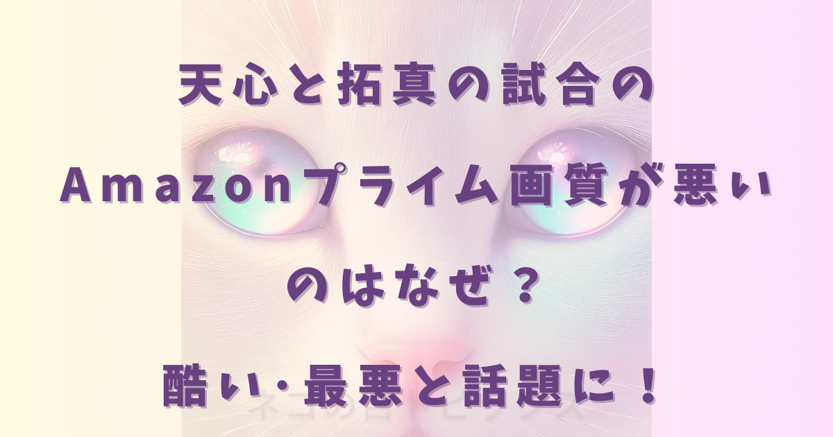 天心と拓真の試合のAmazonプライム画質が悪いのはなぜ?酷い・最悪と話題に!11/24