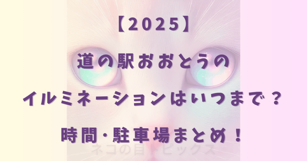 【2025】道の駅おおとうのイルミネーションはいつまで？時間･駐車場まとめ！