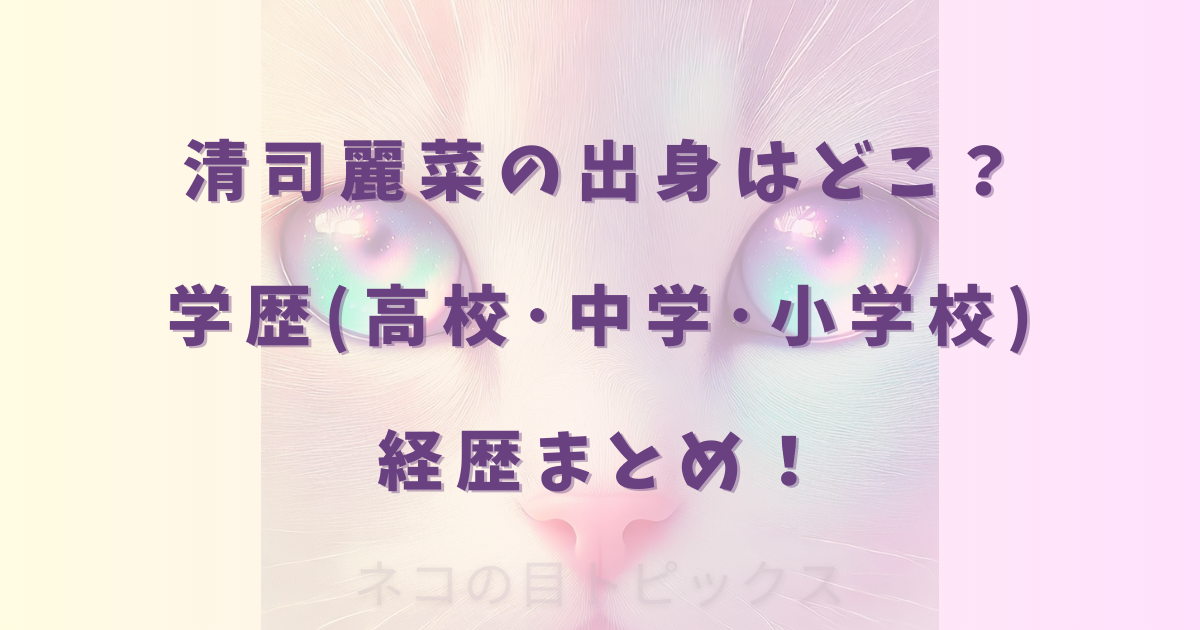 清司麗菜の出身はどこ?学歴(高校・中学・小学校)経歴まとめ!