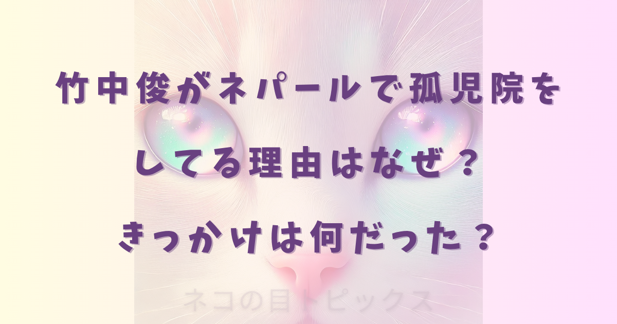 竹中俊がネパールで孤児院をしてる理由はなぜ？きっかけは何だった？