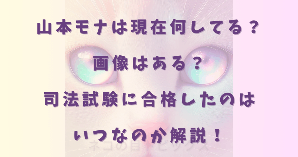 山本モナは現在何してる？画像はある？司法試験に合格したのはいつなのか解説！