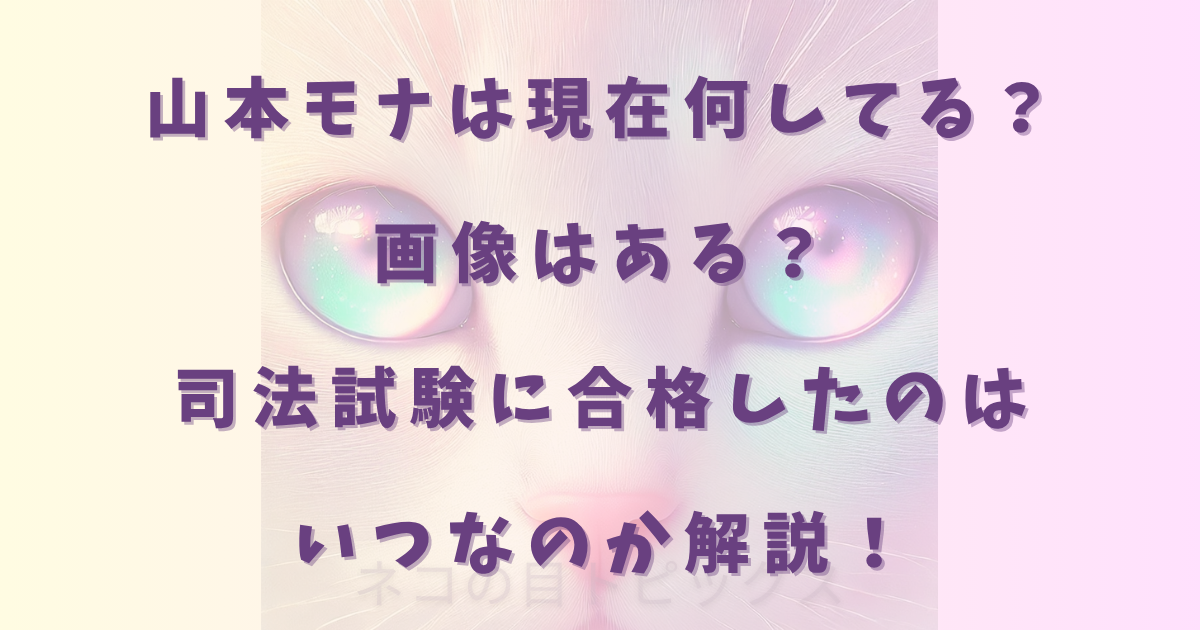 山本モナは現在何してる？画像はある？司法試験に合格したのはいつなのか解説！