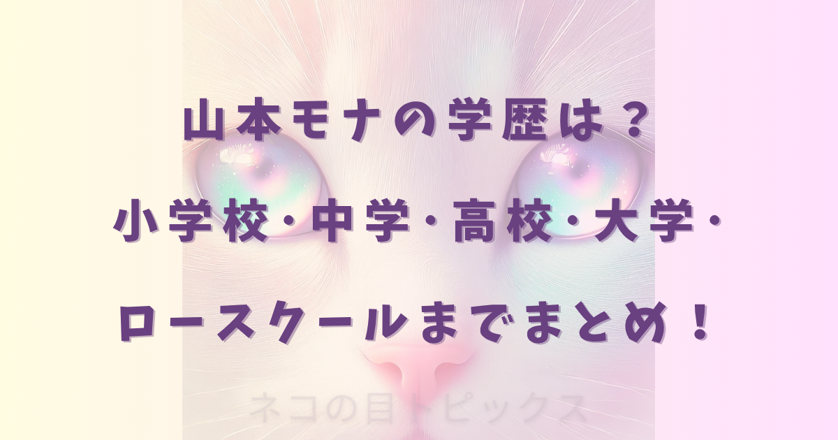 山本モナの学歴は？小学校･中学･高校･大学･ロースクールまでまとめ！