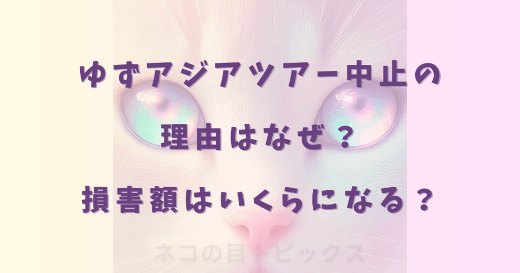 ゆずアジアツアー中止の理由はなぜ？損害額はいくらになる？