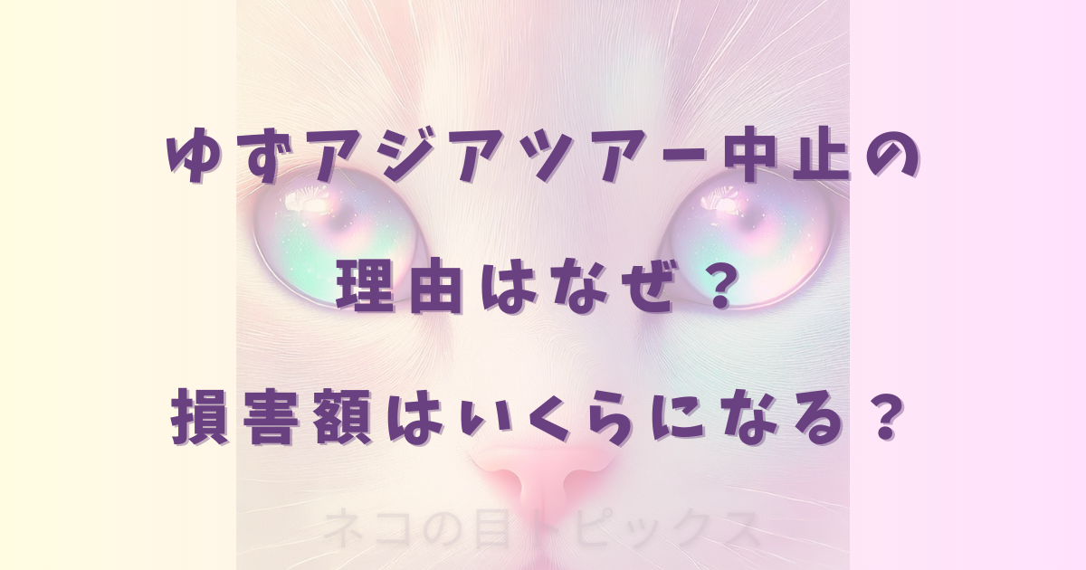 ゆずアジアツアー中止の理由はなぜ?損害額はいくらになる?