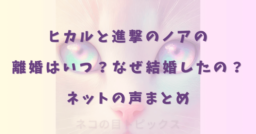 ヒカルと進撃のノアの離婚はいつ？なぜ結婚したの？ネットの声まとめ