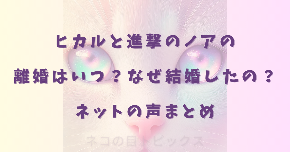 ヒカルと進撃のノアの離婚はいつ？なぜ結婚したの？ネットの声まとめ
