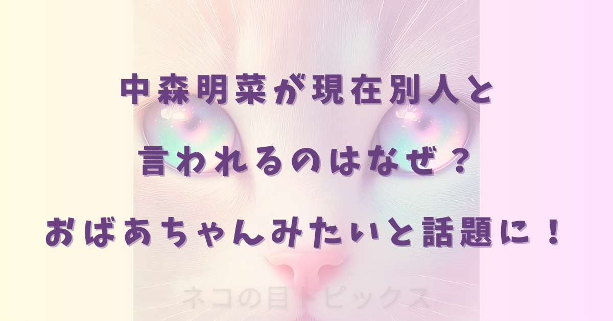 中森明菜が現在別人と言われるのはなぜ?おばあちゃんみたいと話題に!