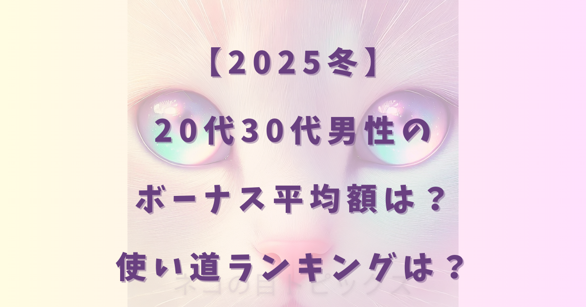【2025冬】20代30代男性のボーナス平均額は?使い道ランキングは?