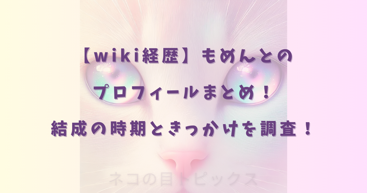 もめんと　経歴