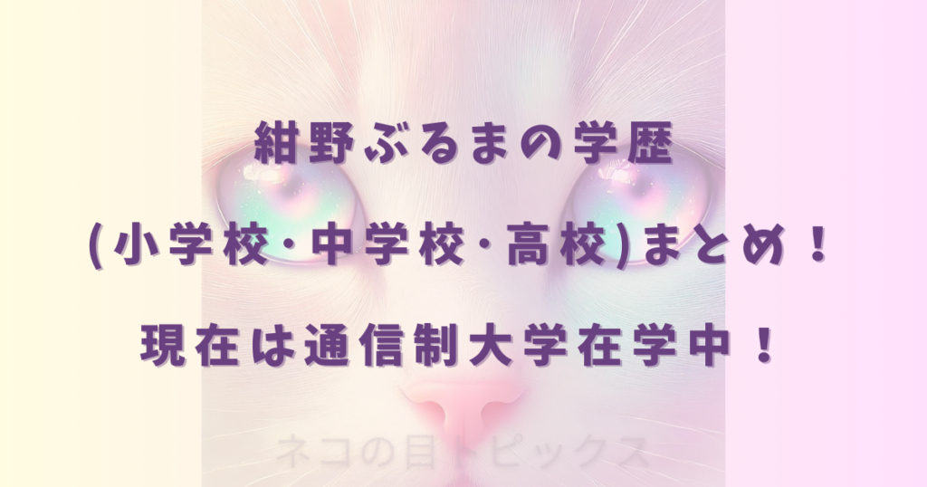 紺野ぶるまの学歴(小学校･中学校･高校)まとめ！現在は通信制大学在学中！