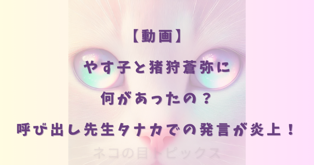 【動画】やす子と猪狩蒼弥に何があったの？呼び出し先生タナカでの発言が炎上！