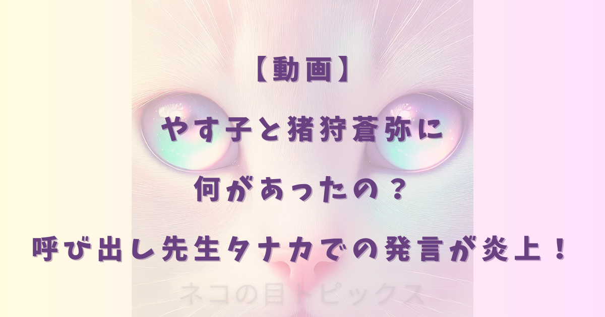 【動画】やす子と猪狩蒼弥に何があったの？呼び出し先生タナカでの発言が炎上！