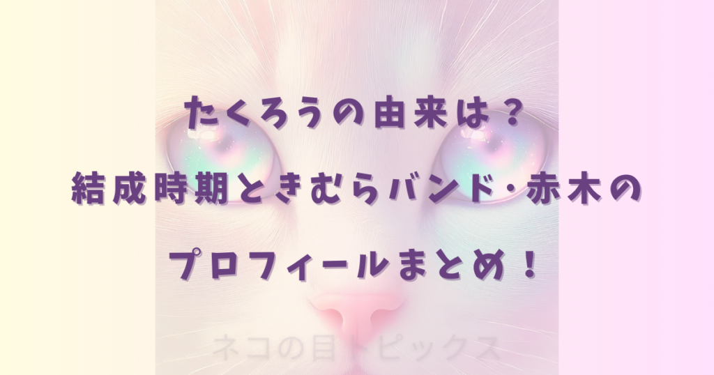 たくろうの由来は？結成時期ときむらバンド･赤木のプロフィールまとめ！