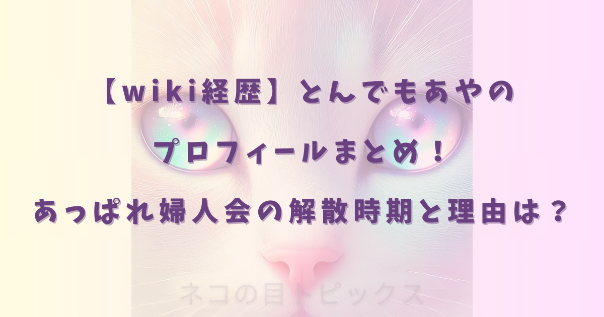 【wiki経歴】とんでもあやのプロフィールまとめ！あっぱれ婦人会の解散時期と理由は？